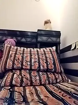 Wild_Vassu Show Webcam