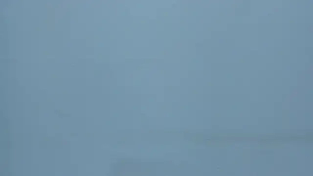 RoxanneMorguet_のライブXXXチャット