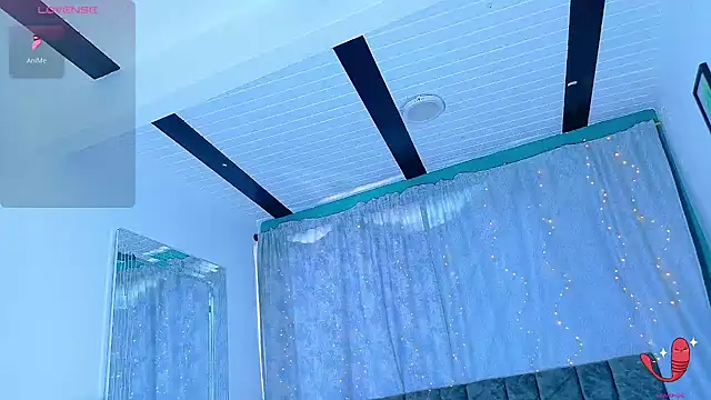 Dantekent Adlı Modelin Web Kamerası Şovu