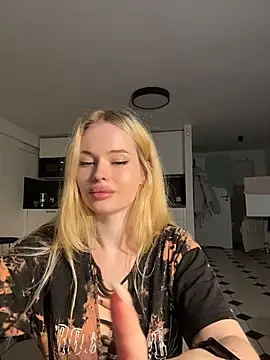 Vladamaisn Webbikameraesitys