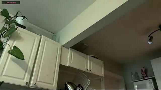 Aria_Fields' Webcam Show