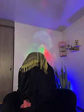 FreszX 网络视讯表演