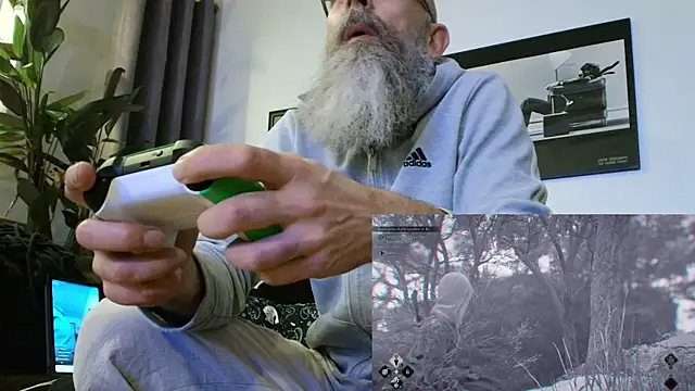 Show Webcam de Kingsscepter