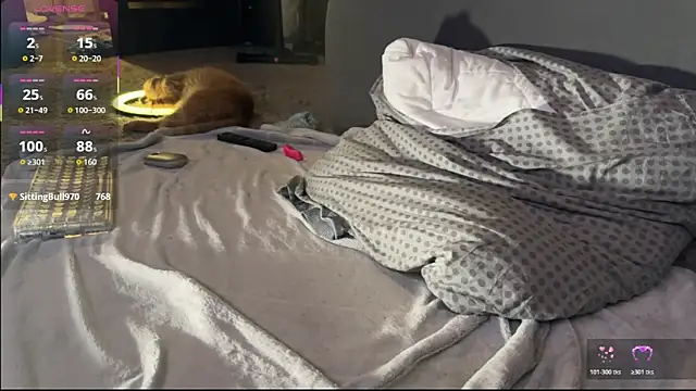 Bastet's Webcam Show