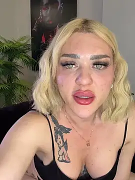 Show webcam de TS_sanida