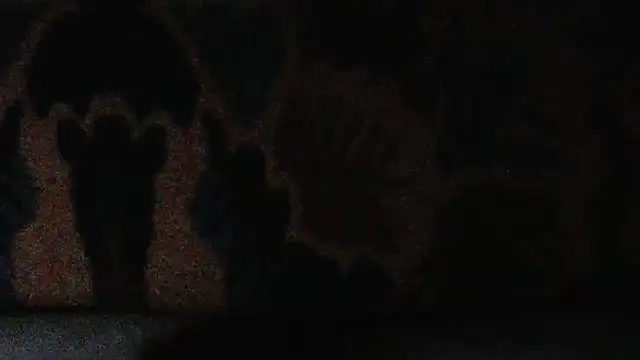 cumloverboyxx69 在線直播表演