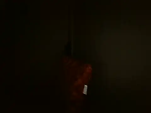 MakeMeCumAhh লাইভ XXX চ্যাট