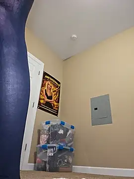 Chat XXX en directo de AmethystFoxx