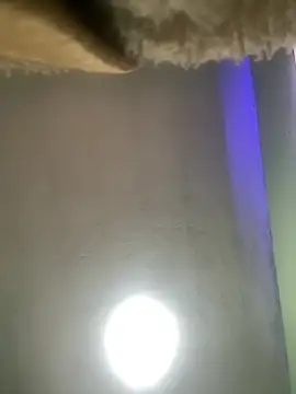 Show de TiagopirocudoMG na webcam