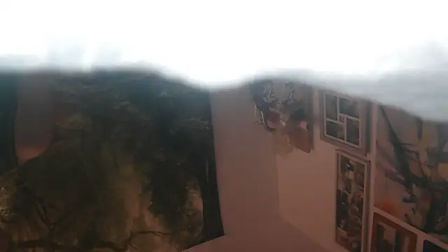 Yogirebell Show in webcam