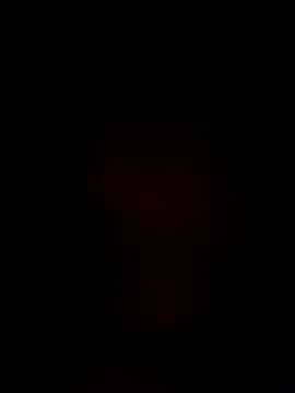 LargeDominoes: вебкам-шоу