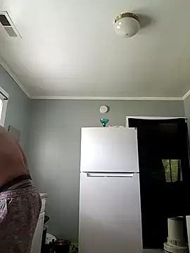 T92bbc webkamerás műsora