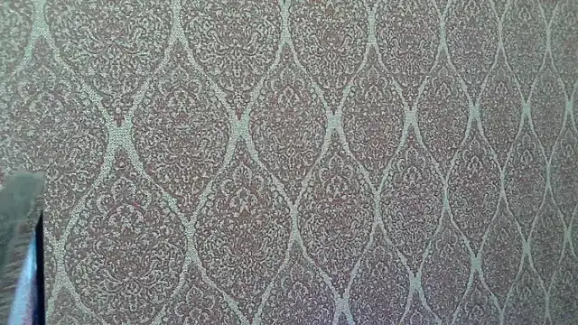 แชท XXX สดของ DillionWestgate