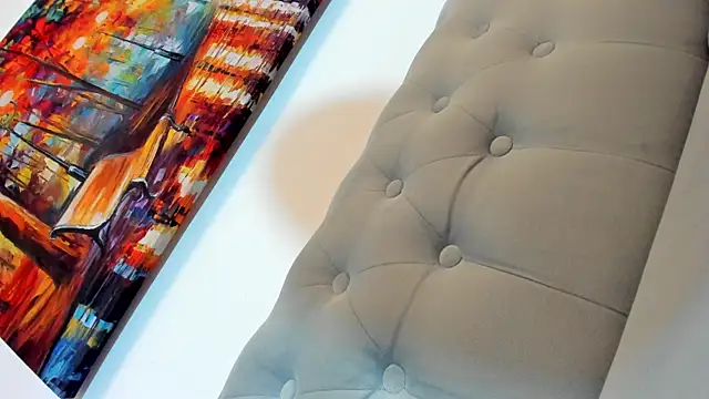 Angell-Sky Webcam show