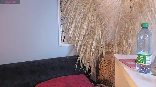 Chat XXX ao vivo de Elecktra_sweet