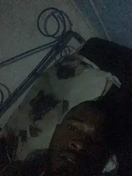 Zavula13のウェブカメラショー