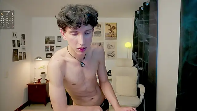 Show de webcam de boream