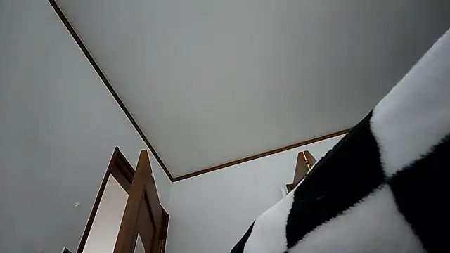 Show de 07YUKIO na webcam