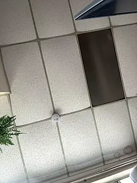 harfuch Show in webcam