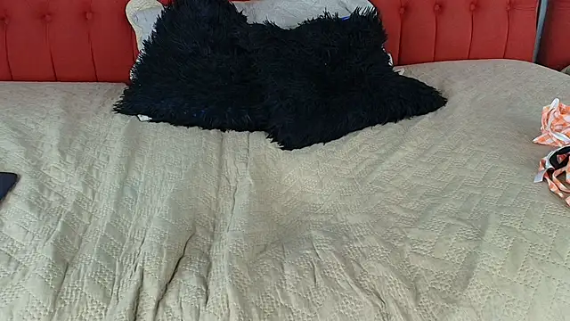 Chatroom XXX en direct de alix_rada