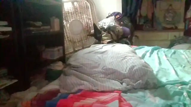 starlight1983 Chat XXX in diretta