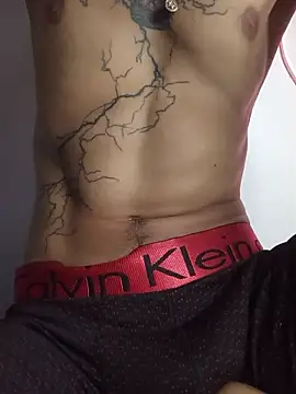 Show webcam de Tattoboy19cm