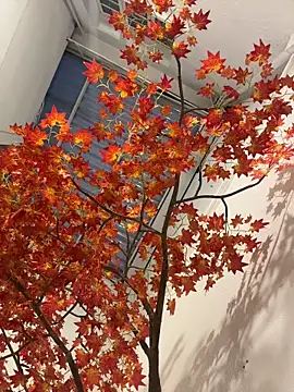 Chatroom XXX en direct de KallyMyller1