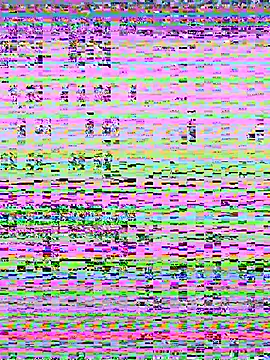 Maly_Nyaのウェブカメラショー