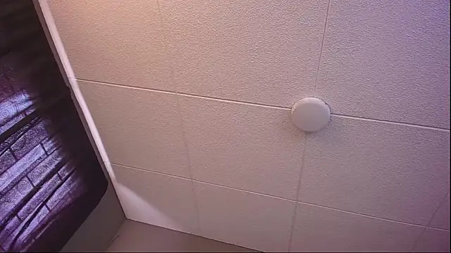 PaulEvens live XXX chat