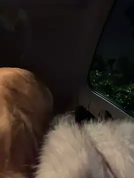 AnastasiaAniess Live XXX-chat