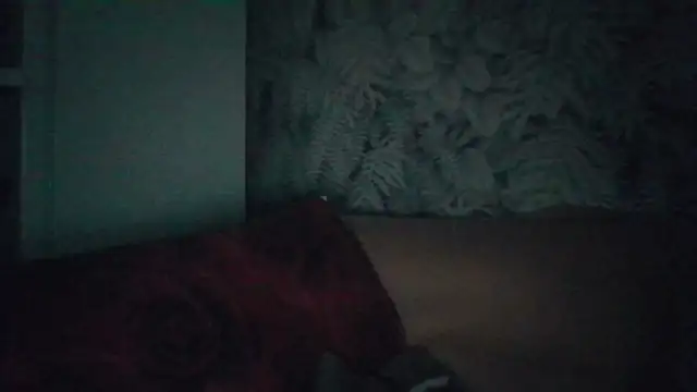 maestroboris95 Webcam show