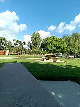 exhibitionistmale: διαδικτυακό σόου στην κάμερα