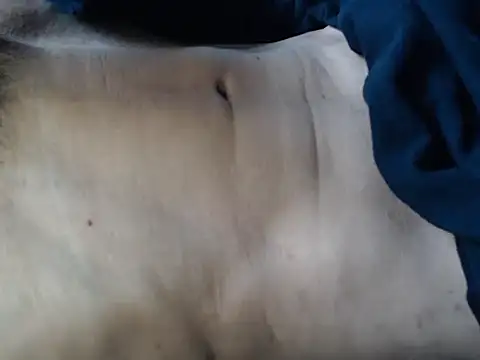 IMAGatMARKのウェブカメラショー