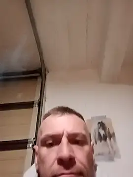 BushedScreedn Webbikameraesitys