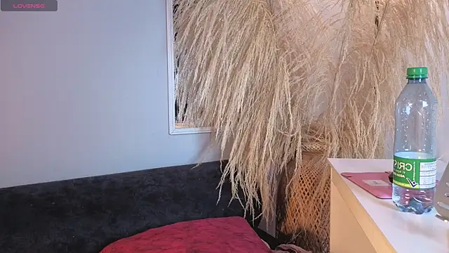 Chatroom XXX en direct de Elecktra_sweet