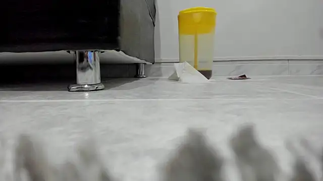 toritoga Show in webcam