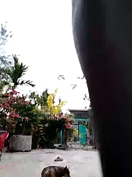 Ginny_2x Show Webcam