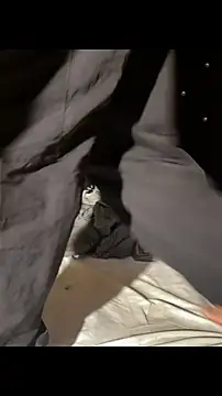 Chat +18 de Mrjustin_sebas ao vivo