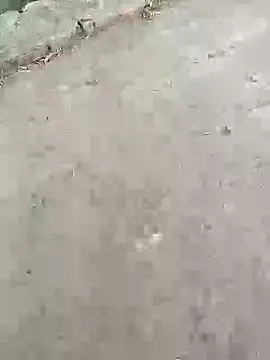 Pitercom Pertunjukan Webcam