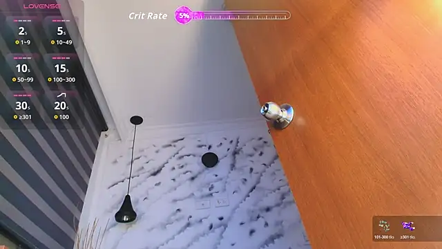 Max_Hornyen Webbikameraesitys