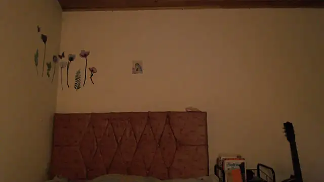 Serenity – Live XXX-chat