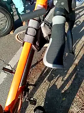 Show Webcam de exhibitionistmale