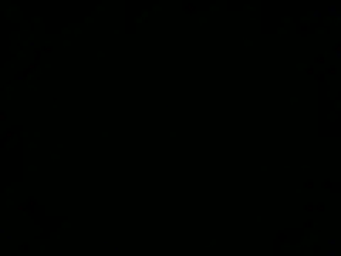 โชว์เว็บแคมของ NinfomanoLOGAN