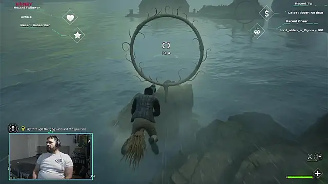 Show Webcam de bottombeargaming