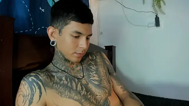 Show de webcam de Travtanner