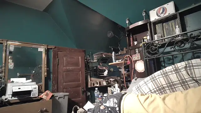 Chat +18 de charactrzero ao vivo