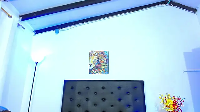 Вебкам-шоу liiam3