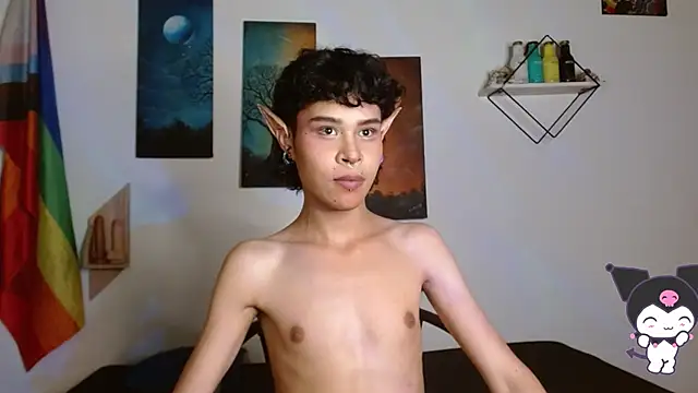 Show Webcam de nicolai_a