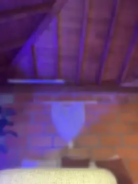 RouseColinsのウェブカメラショー