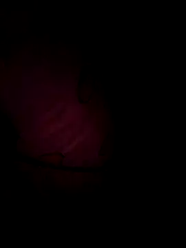 Marion256in Webbikameraesitys